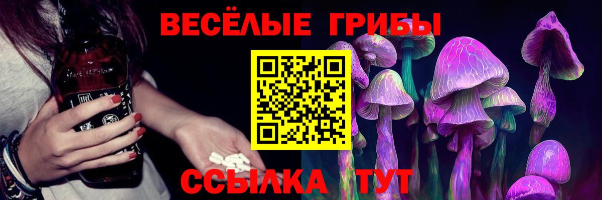 Псилоцибиновые грибы Psilocybine cubensis  Вход с VPN  Дербент 